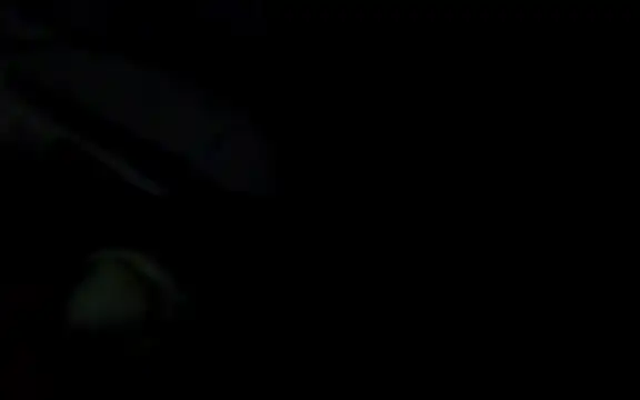 Вебкам-шоу Makeemsquirtbw