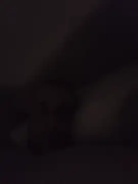Trufflepuff Webcam-Show