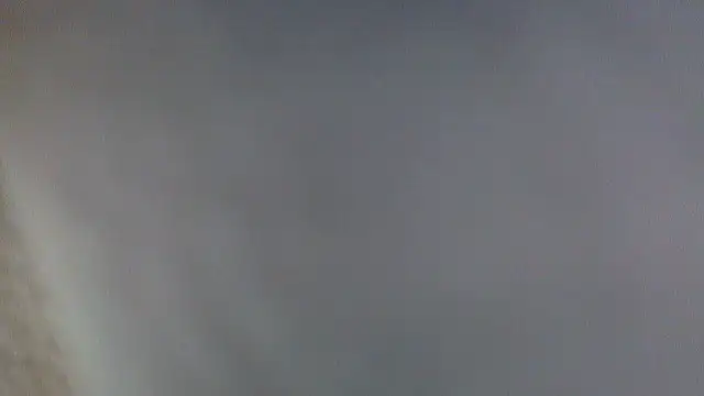 Show webcam de edeninruins