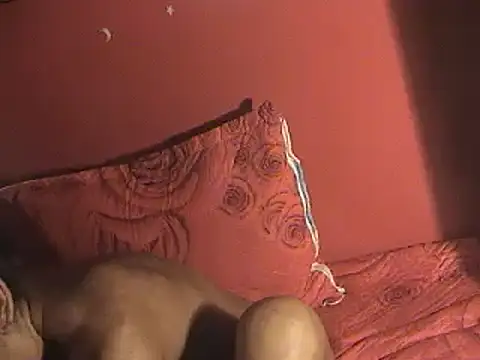 STREHETSのウェブカメラショー