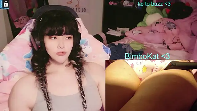 הופעת וובקאם של BimboCat