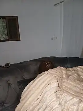 WaiterZimn Live XXX chat