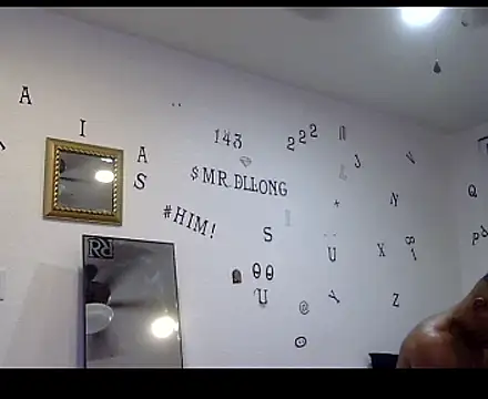 Show webcam de TheRealMrDLlong
