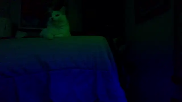 the_dog_lian Live XXX Chat