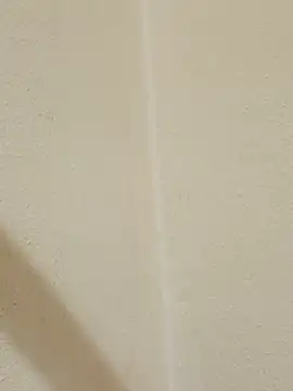 Alevsiz's Live XXX Chat