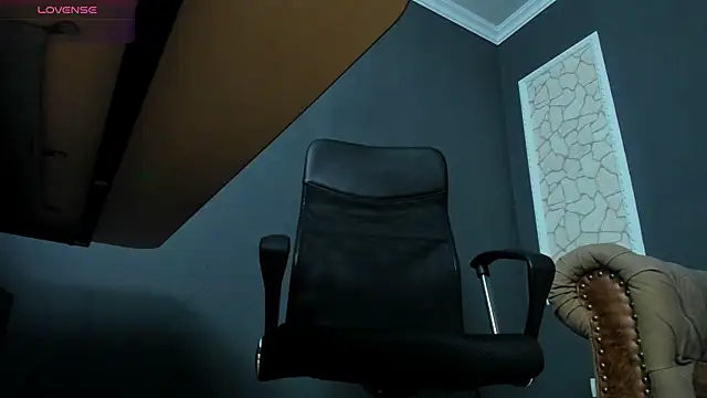 BrianHunts Show Webcam