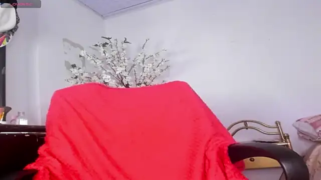 Czat XXX na żywo – Beatricez1