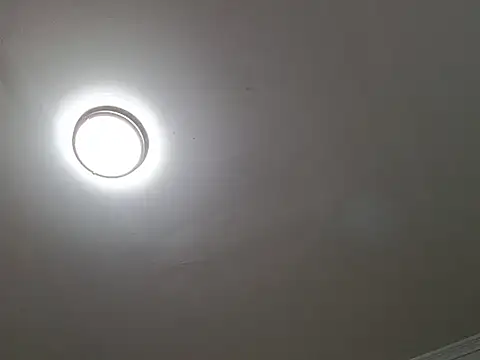 Wildfreakxxwolf XXX чат на живо