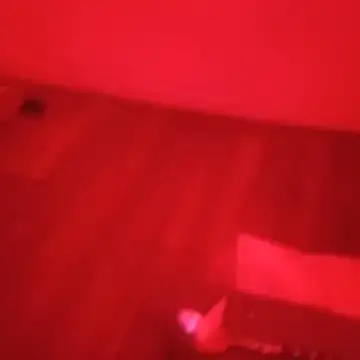 Hase1337's Webcam Show