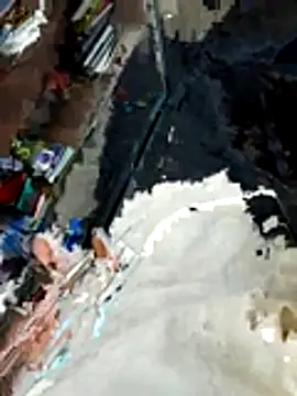 Show de honbok na webcam