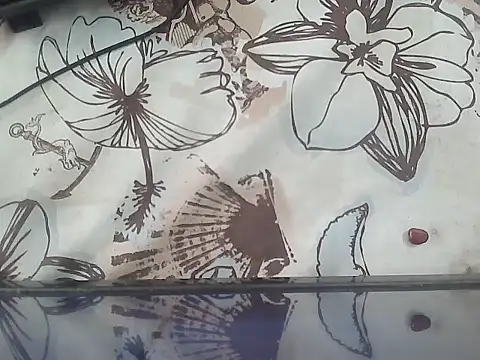 opsora221 ওয়েবক্যাম শো