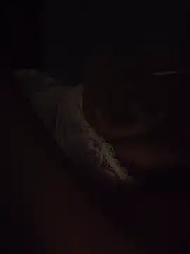 Ezabelljohn élő XXX-chatje
