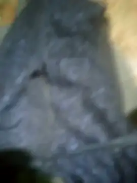 Elchabondestrip Webcamshow