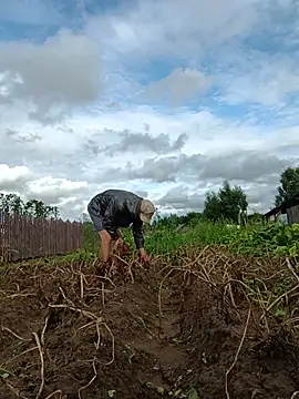 Sembang XXX Secara Langsung _uncle_Mitya-43_