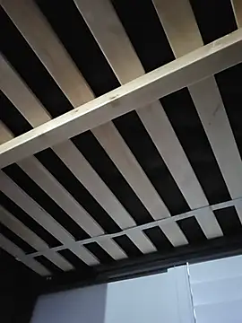 Roddog18 – Live XXX-chat
