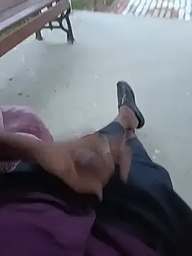 Anshibhabhin Webbikameraesitys
