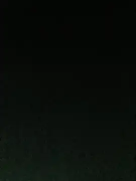 MUHDIC élő XXX-chatje