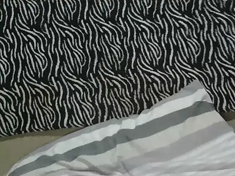 crazypervet Chat XXX live