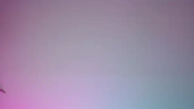 DivineLynn live XXX chat