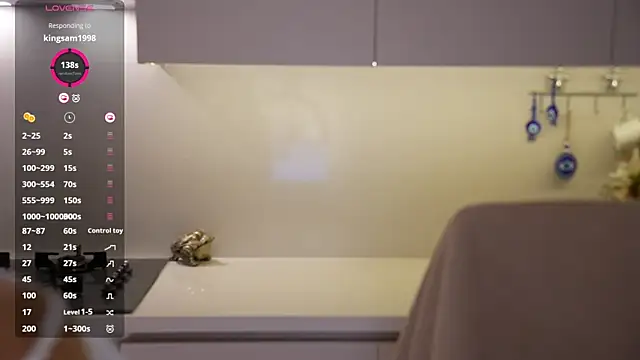 Vassiilisan Webbikameraesitys