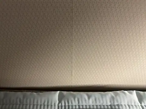 dvoi 웹캠 쇼