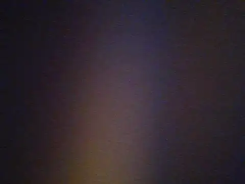 salimzw – Naživo XXX chat