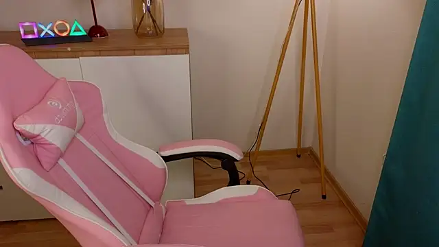 Webkamerová show e1v1s