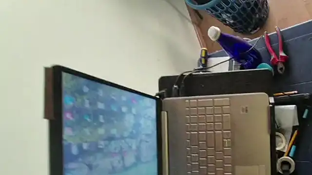 lipzard webcam show