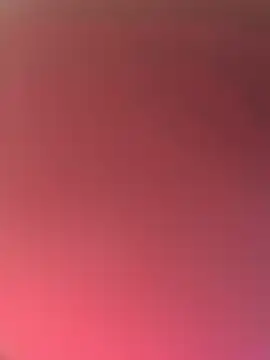 Japahmgn Webbikameraesitys