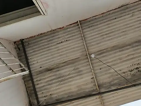 PIGHIGHDIRTY_p0 라이브 XXX 채팅