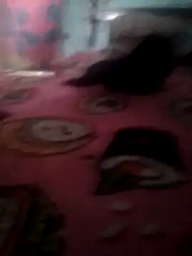LMVJal's Webcam Show
