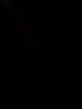 Chat XXX en directo de ShyDave81