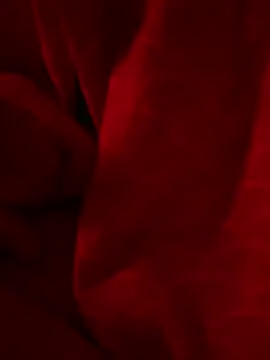 antonrichtig99 webkamerás műsora