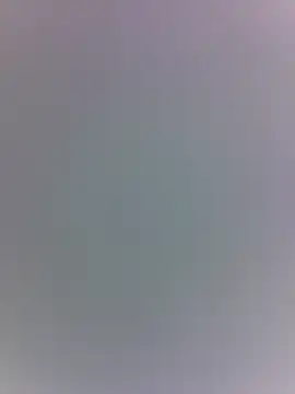 Show Webcam de piggylatino