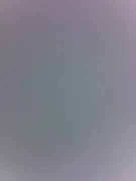 piggylatino Live XXX Chat