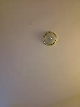 piggylatino webkamerás műsora