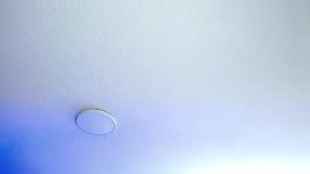 _Charlotte_Collins_ 라이브 XXX 채팅