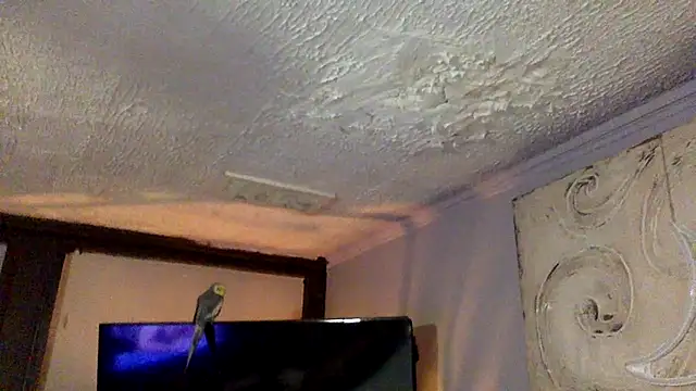 trash4cash's Webcam Show