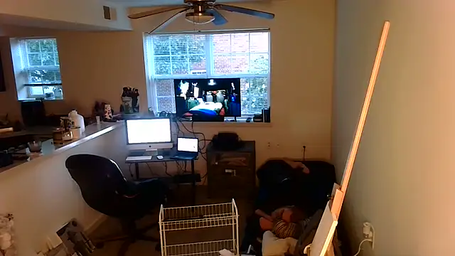 Q1357q Pertunjukan Webcam