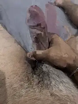 عرض كام serterkek204310