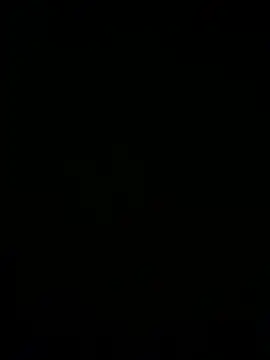 punkarii Webcam Show
