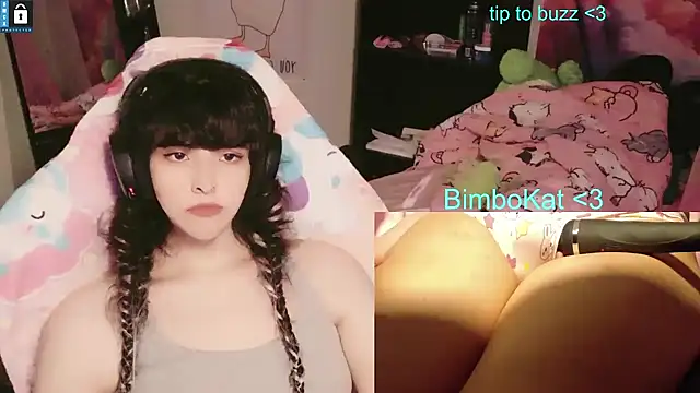 BimboCat 即時 XXX 聊天