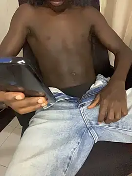YsugarBoyn Webbikameraesitys