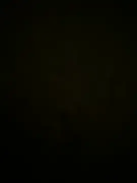 punkarii Webcamshow