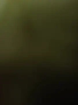 Crazymrdick Webcam Show