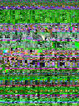 antonelaswete02 webkamerás műsora