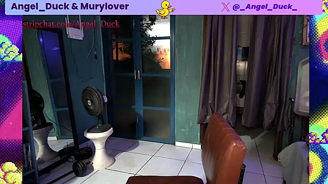 Angel_Duck 라이브 XXX 채팅