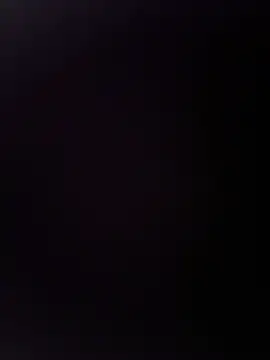 Show webcam de Kosminkom
