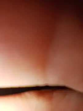 Xiomara_fiery 现场XXX聊天