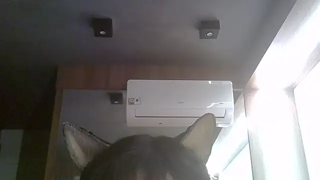 SkinnyKitten's Webcam Show